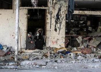 Operasi Militer Israel Mengakibatkan 520 Warga Palestina Syahid, Terluka dan Hilang dalam Seminggu