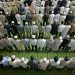 Egois Itu Berlawanan dengan Islam