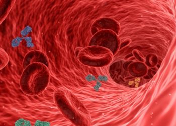 Ketahui, Perbedaan Kurang Darah dan Darah Rendah pada Manusia