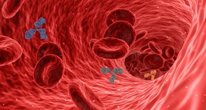 Ketahui, Perbedaan Kurang Darah dan Darah Rendah pada Manusia