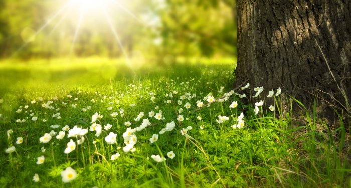 Kultum Ramadan Hari Kedua Puluh Lima, Syarat Diterimanya Sebuah Amal