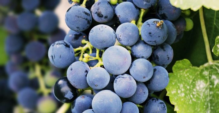 Mencegah Kanker Kulit, Ketahui Lima Manfaat Buah Anggur untuk Kulit Wajah