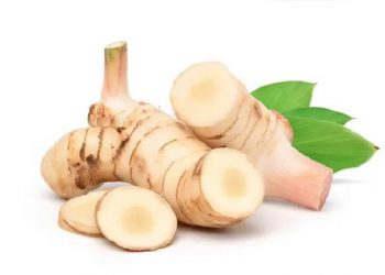 Simak, Lima Manfaat Lengkuas untuk Kesehatan Tubuh