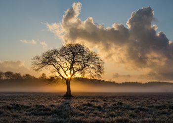 Materi Kultum, Orang Kaya yang Terpuji