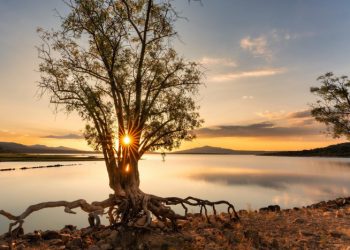 Keuntungan Matahari Pagi yang Sehat untuk Kecantikan Kulit Kamu