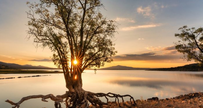 Keuntungan Matahari Pagi yang Sehat untuk Kecantikan Kulit Kamu
