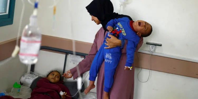 Serangan Belatung dan Luka yang Tak Kunjung Sembuh Bagi Warga Gaza yang Kekurangan Gizi