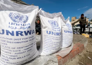 UNRWA Mengatakan Distribusi Makanan di Rafah Ditangguhkan Karena Ketidakamanan