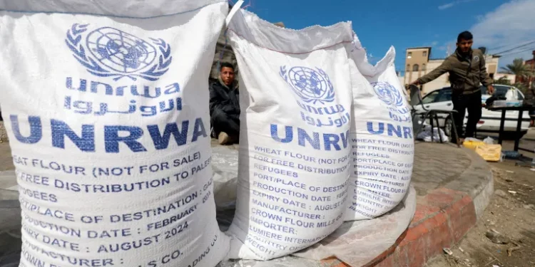 UNRWA Mengatakan Distribusi Makanan di Rafah Ditangguhkan Karena Ketidakamanan