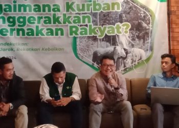 90 Persen Industri Domba di Indonesia Dikuasai oleh Peternakan Rakyat