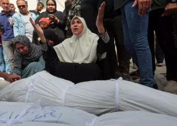 Tidak Ada Tempat yang Aman di Gaza, Ketika 800.000 Warga Palestina Meninggalkan Rafah