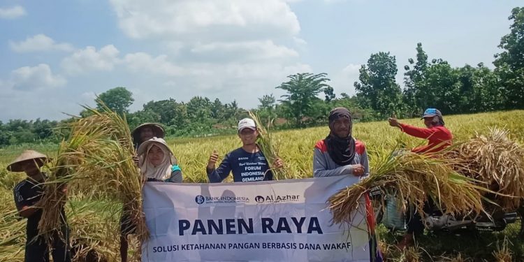 Sarwanto, Pemetik Manfaat RPP yang Bahagia Nikmati Hasil Panenyang Syar’i Tanpa Riba