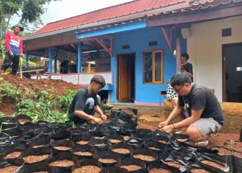 Masyarakat Desa Haurngombong Panen Manfaat dari Program Dapur Hidup