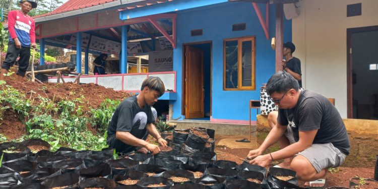 Masyarakat Desa Haurngombong Panen Manfaat dari Program Dapur Hidup