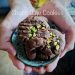 Choco Date Cookies ala Bunda Icha Savitry