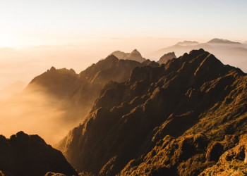 Kelembutan Tutur Kata Nabi SAW