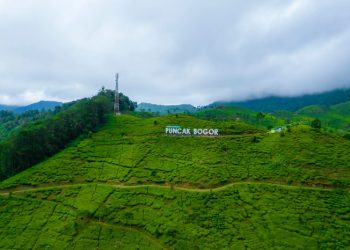 Alasan Wisata Puncak Bogor Masih Ramai Wisatawan