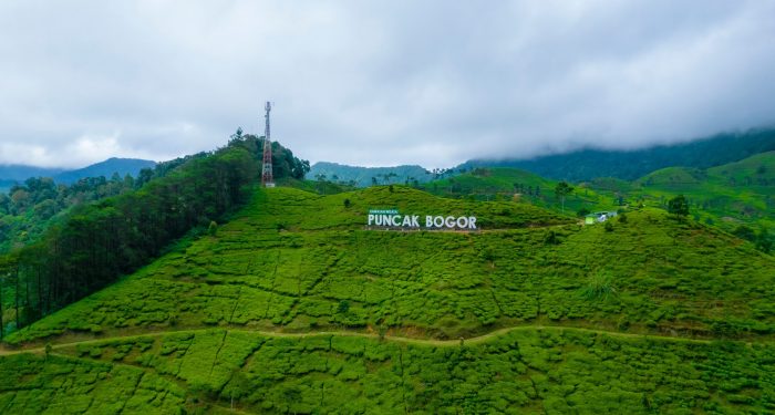 Alasan Wisata Puncak Bogor Masih Ramai Wisatawan