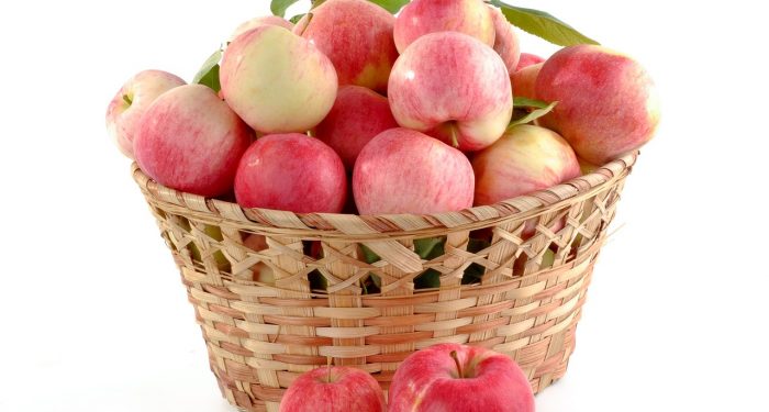 Tips Mam Fifi: Buah-buahan Jangan Disimpan di Dalam Kulkas