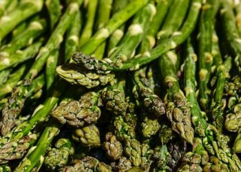 Mengeluarkan Sisa Metabolisme Tubuh, Sayuran Asparagus Memiliki Banyak Manfaat