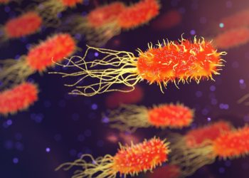 Hati-hati, Ini Tipe Kuman yang dapat Menyerang anda di Sekitar Rumah