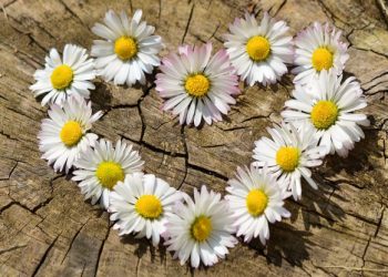 Islam Adalah Agama Berdasar Cinta Kasih