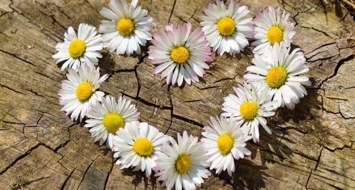 Islam Adalah Agama Berdasar Cinta Kasih