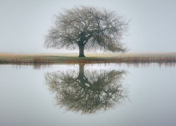 Kemampuan Melakukan Evaluasi Diri