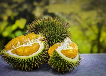 Ampuh Menghilangkan Jerawat, Inilah Manfaat Buah Durian untuk Kecantikan