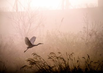 Manfaat Memiliki Rasa Syukur