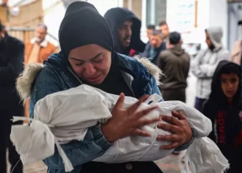 Bayi yang Diselamatkan dari Rahim Ibu yang Sekarat Akibat Serangan Israel di Rafah
