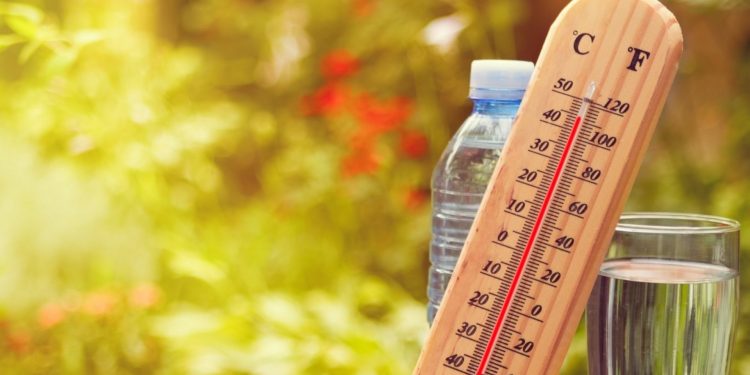 Tidak Hanya Dengan Minum Air, Heat Stroke Dapat Dicegah pada Saat Cuaca Panas yang Menyengat