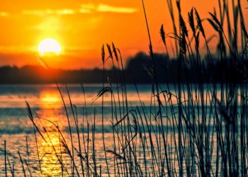 Materi Kultum, Psikologi Niat