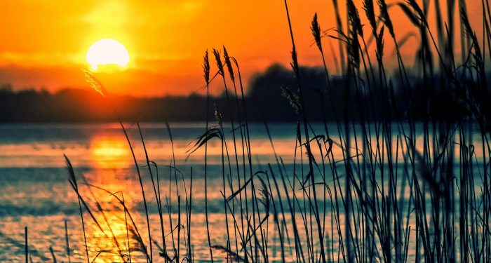 Materi Kultum, Psikologi Niat