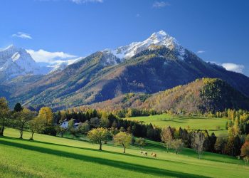 Berikut Tujuh Negara dengan Udara yang Bersih di Dunia Menurut WHO!