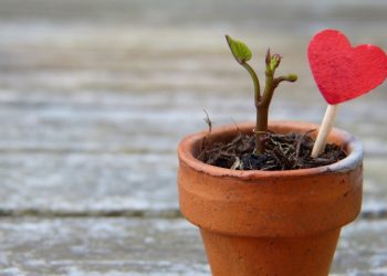 Senjata Kita Adalah Keikhlasan untuk Berjuang