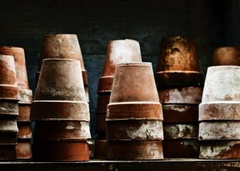 Hempaskan Jamur dan Bakteri dalam Gudang, Begini Caranya