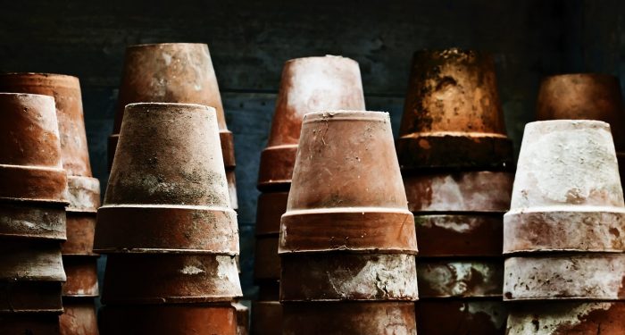 Hempaskan Jamur dan Bakteri dalam Gudang, Begini Caranya