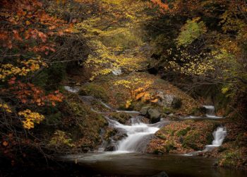 Tujuh Wisata Air Terjun Terkenal di Jawa Barat