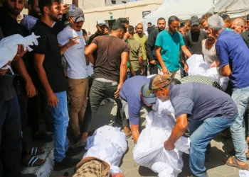 Mayat Berserakan di Jalanan, Israel Membunuh 226 Orang dalam Serangan di Gaza Tengah