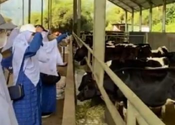 Jakarta Islamic School Mengunjungi Garuda Farm untuk Pembelajaran Para Siswa