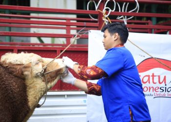 Berdayakan Peternak Kecil, Grup Astra Salurkan 1614 Hewan Kurban