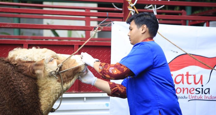 Berdayakan Peternak Kecil, Grup Astra Salurkan 1614 Hewan Kurban