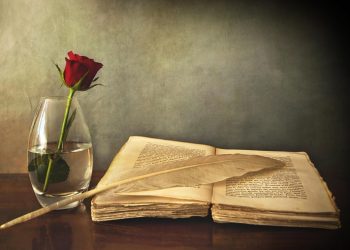 Sesal Pedih Seorang Sarjana