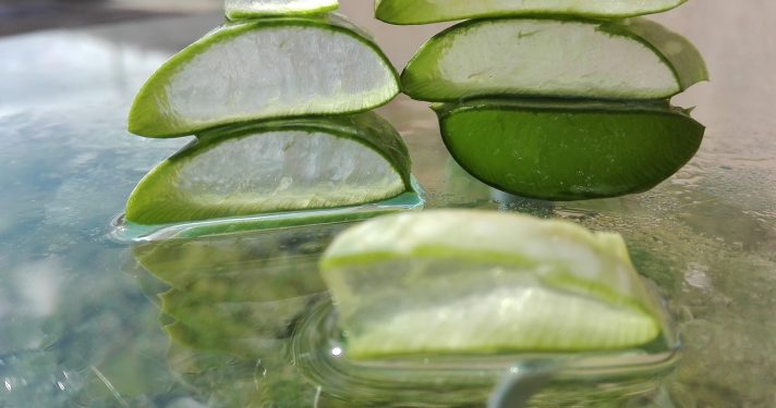 Beberapa Manfaat Lidah Buaya untuk Alis