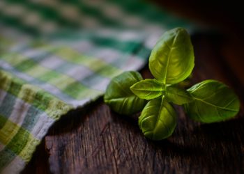 Simak, Lima Bahan Kebaya yang Bikin Tambah Nyaman