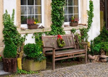 Risiko Berkebun dan Contoh Ancaman Penyakitnya