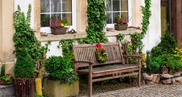 Risiko Berkebun dan Contoh Ancaman Penyakitnya