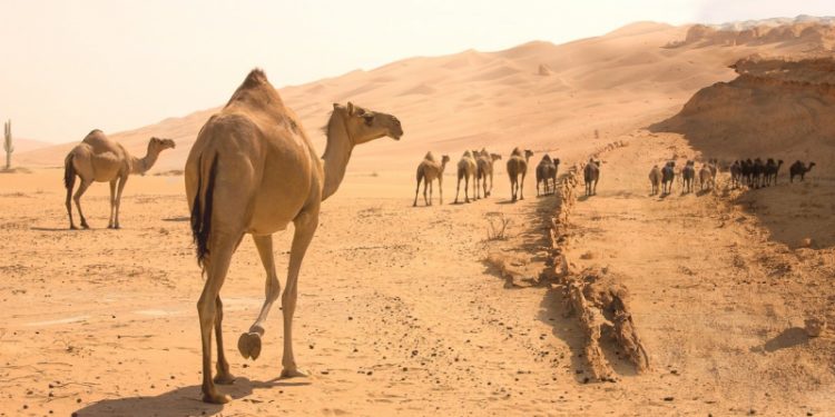 Anak-anak Pejabat Dalam Sejarah Islam yang Shalih dan Tidak Tengil