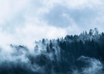 Lamanya Adam tinggal di Surga (2)